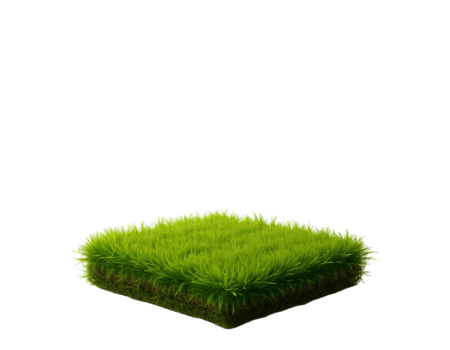 Grass Isolated Transparent Background With Gradient Mesh, Illustration png