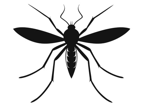 A mosquito silhouette on a white background vector