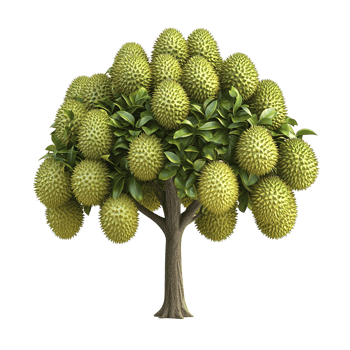 A stylized illustration of a tree laden with exotic fruits png