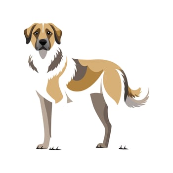 Engaging Anatolian Shepherd Dog Art vector