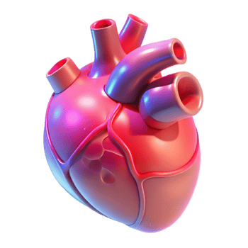 dramatic vintage A holographic projection of a human heart beating, anatomical details, soft red lighting, medical illustration style premium png