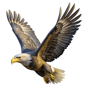 beautiful minimalist A majestic bald eagle soaring through the sky, with sharp focus on its feathers and eyes, photorealistic rendering genuine png