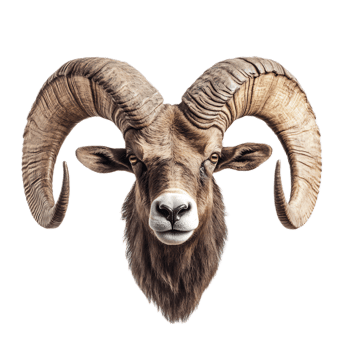 Close-up Portrait of a Majestic Bighorn Ram in a Mountainous Landscape png