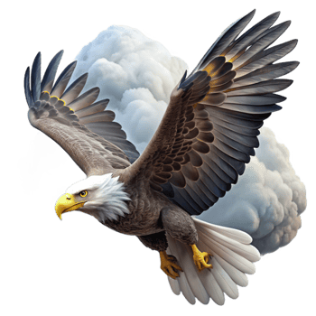 serene abstract A majestic bald eagle soaring through a stormy sky, dramatic lighting, realistic style high resolution png