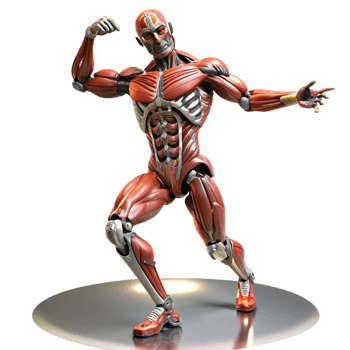 vibrant modern A highly detailed, anatomical robot with exposed muscles and tendons, performing a complex dance routine, lit by theatrical spotlights. Biomechanical style genuine png