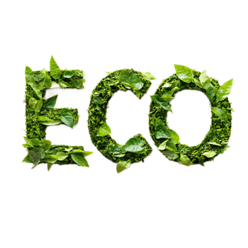 ECO Friendly Word Composed of Leaves and Greenery png
