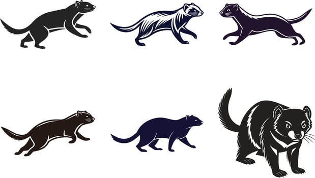 Wild Animal Graphic Collection vector