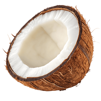 Half of a fresh coconut, showing its white flesh. png