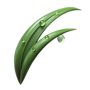 magnificent modern A single blade of grass with dew drops, macro photography, morning light 4K png