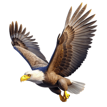 impressive traditional A majestic bald eagle soaring through the sky, bright sunlight, photorealistic style genuine png