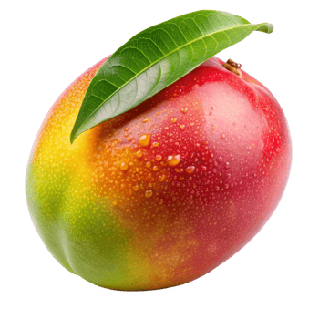 A single ripe mango with green leaf and water droplets png