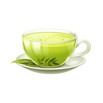 Steaming cup of green tea in a glass teacup a delicate leaf placed beside it png