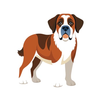 Exquisite St Bernard on Clean White vector