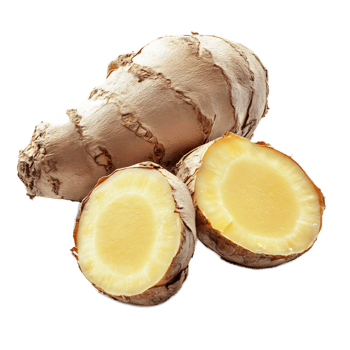 Fresh Organic Ginger Rhizome Roots with Slices on White Background png