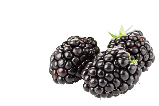 Juicy Blackberries Close Up Fresh, Ripe, and Ready to Eat png