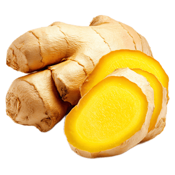 Freshly Harvested Ginger Roots, a Versatile Superfood Ingredient with Flavorful Aroma and Numerous Health Benefits png