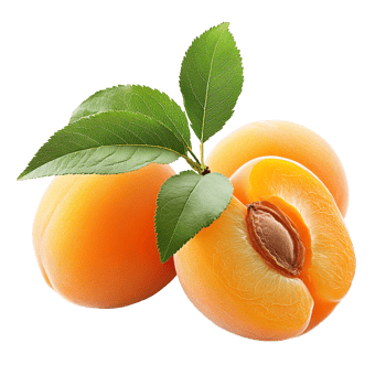 Fresh organic apricot with leaves isolated on transparent background png