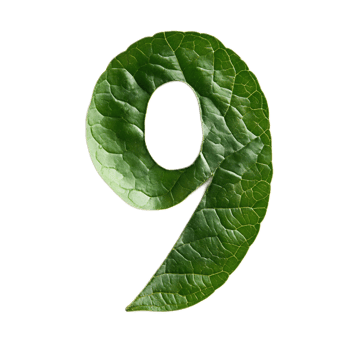 Leaf Shaped Number Nine Conceptual Green Nature Background png