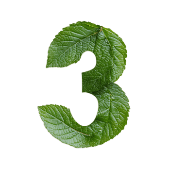 Leaf Shaped Number Three in Natural Green Environment png