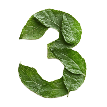 Leaf Shaped Number Three in Green Eco-Friendly Environment png