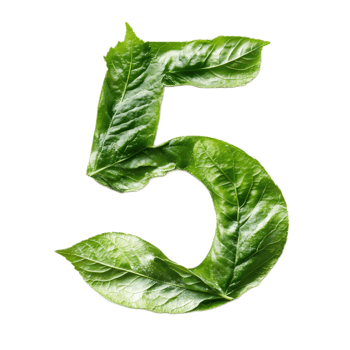 Leaf Shaped Number Five in Green Natural Environment png