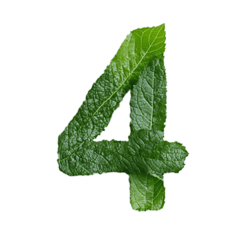Leaf Forming Numeric Four in Natural Green Environment png