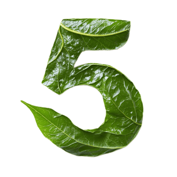 Leaf Forming the Number 5 in Natural Green Environment png