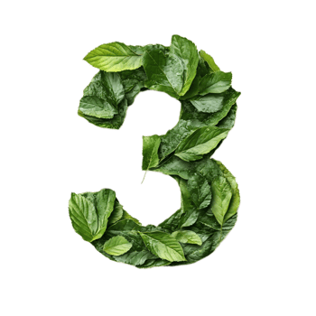 Leaf Forming the Number Three in a Green Natural Environment png
