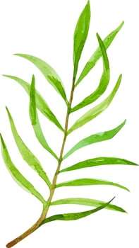 Palm leaf watercolor hand drawn clipart isolated tropical botanical illustration vector