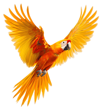 Majestic Blue and Yellow Macaw Parrot Flying in Tropical Rainforest Habitat png