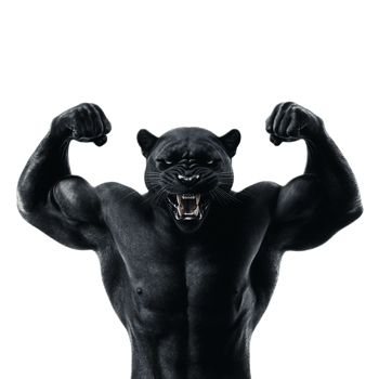 Powerful Panther with Muscular Arms Symbolizing Strength and Intensity png