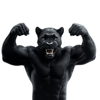 Powerful Panther Flexing Muscles,Embodying Physical and Emotional Fortitude png