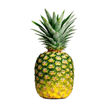 Vibrant Yellow Pineapple with Green Leaves on White Background png