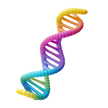 Glossy rainbow DNA helix transparent image. Human genome isolated cutout 3d render. Healthcare innovation. Genetics, medical science, biotechnology cut out clipart design element png
