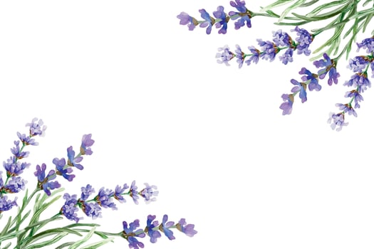 Frame with lavender flowers in the corners, watercolor. Hand drawn illustration. For the design of greeting cards, invitations, labels, banners, posters. vector