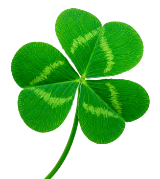Shamrock or Three leaf clover cut out png