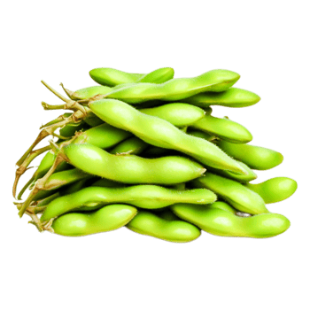 Fresh Green Edamame Pods Stacked Neatly png