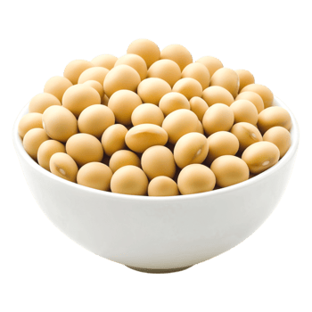 Fresh Organic Soybeans in White Bowl Offering Healthy Snack Option png