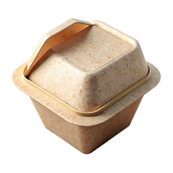 dramatic modern Biodegradable Takeout Container Flat Lay Cutout genuine png