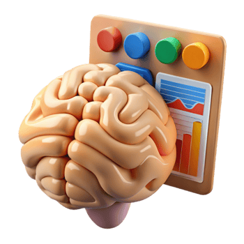 wonderful creative Brain Function Chart Cutout with Detailed Information high quality png