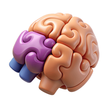 stunning contemporary Brain Puzzle Pieces Cutout on Transparent Background genuine png