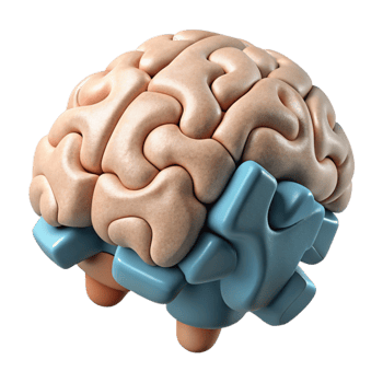 extraordinary traditional Brain Puzzle Pieces Cutout on Transparent Background original png