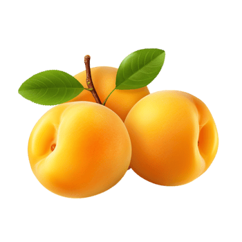 Juicy ripe apricots with a soft, golden-orange glow png