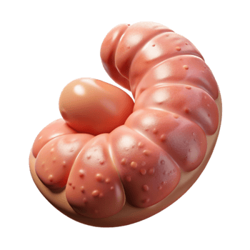 beautiful artistic Cellular Agriculture Shrimp Paste Pinkish Hue Cutout original png