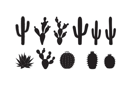 Cactus Silhouette Spiky Art Decorative Design vector