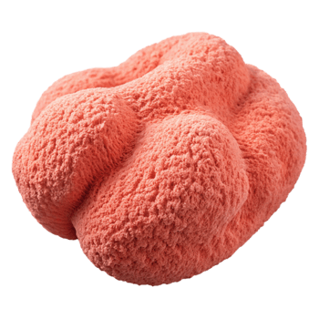 dramatic artistic Coral Terry Cloth Soft Texture Cutout authentic png