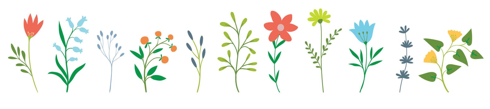 Flowers, floral plants set. Field, meadow and garden blooms, leaf branches. Botanical flat illustration isolated on white background vector