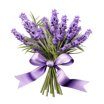 Beautiful lavender bouquet tied with a soft purple ribbon png