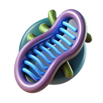 wonderful traditional Dna Fragment with Binary Code Overlay Transparent Background exclusive png