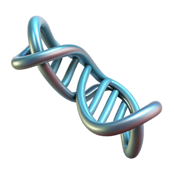 serene traditional Dna Strand Helix Abstract Art Transparent Background professional png